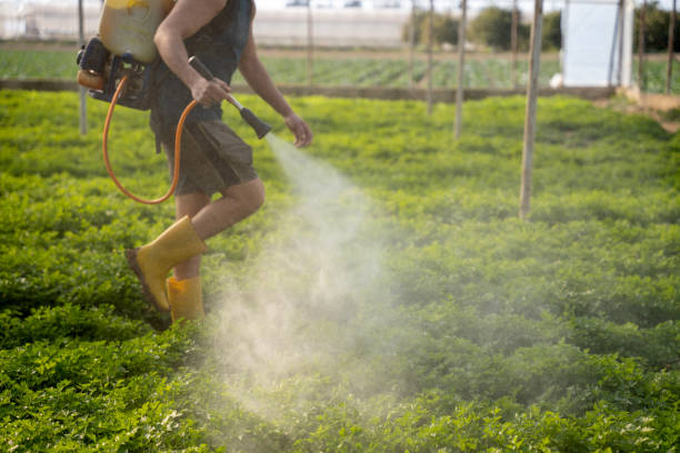 Best Residential Pest Control  in Homestead Meadows North, TX